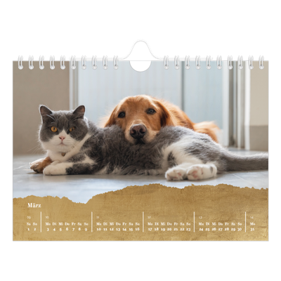 Fotokalender A5 — Classic Gold [Marsch]