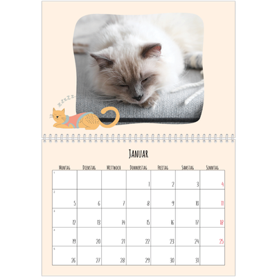 Fotokalender A4 doppelt (30 x 40 cm) — Katzen und Kritzeleien [Januar]