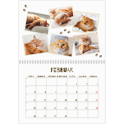 Fotokalender A4 doppelt (30 x 40 cm) — Verspieltes Kätzchen [Februar]