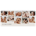 Tischkalender — Momente in Bewegung [deckblatt]