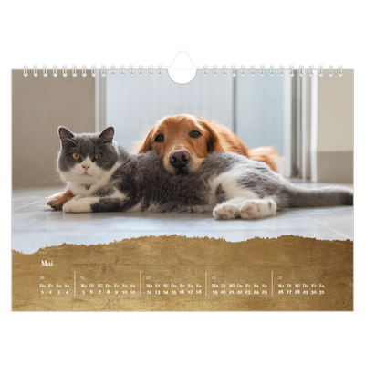 Fotokalender A4 — Classic Gold [deckblatt]