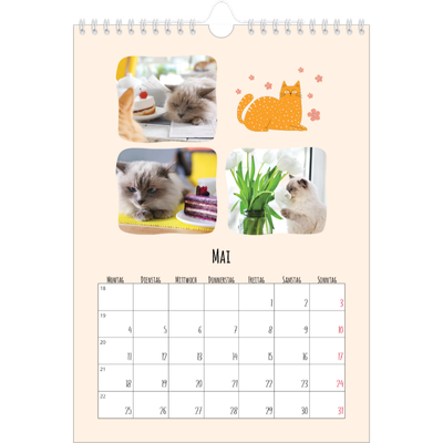 Fotokalender A4 (20 x 30 cm) — Katzen und Kritzeleien [deckblatt]
