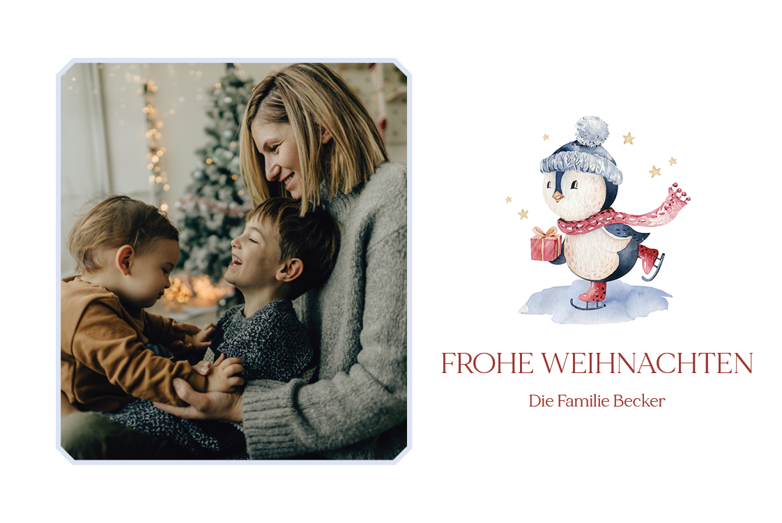 Fotokarten — Pinguin auf dem Eis