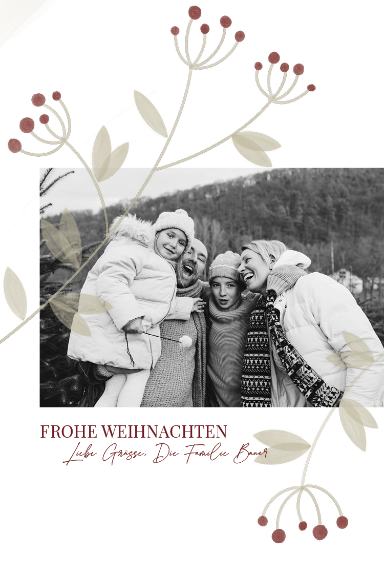 Fotokarten — Winterliche Pflanzen