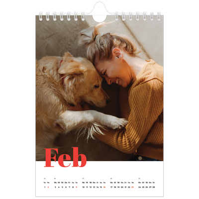 Fotokalender A5 — Kräftige Farben [Februar]