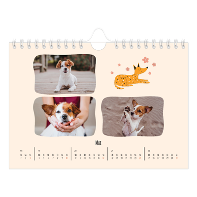 Fotokalender A5 — Hunde und Kritzeleien [deckblatt]