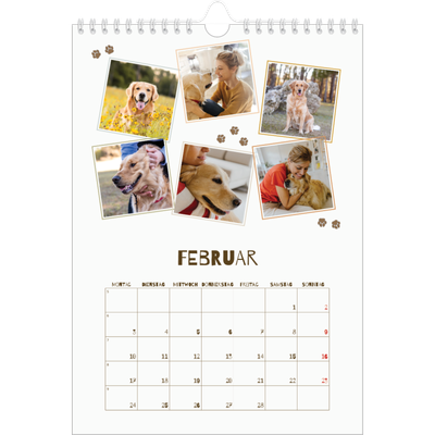Fotokalender A4 (20 x 30 cm) — Verspielter Welpe [Februar]