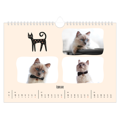 Fotokalender A4 — Katzen und Kritzeleien [Februar]