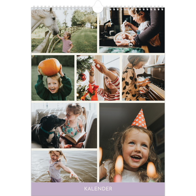 A3 Jahreskalender — Pastellfarbene Monate [deckblatt]