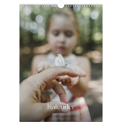 A3 Jahreskalender — Zwölf große Monate [deckblatt]