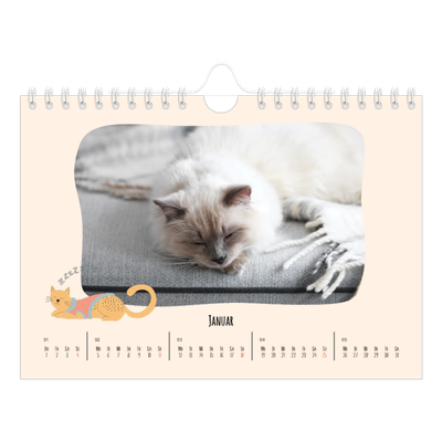 Fotokalender A5 — Katzen und Kritzeleien [Januar]