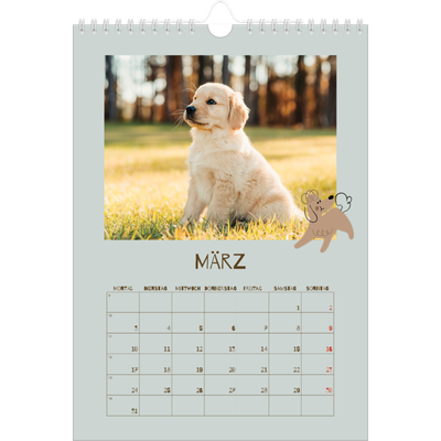 Fotokalender A4 (20 x 30 cm) — Verspielter Welpe [Marsch]