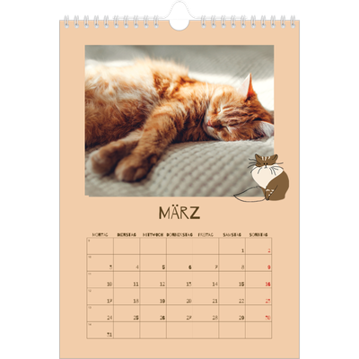 Fotokalender A4 (20 x 30 cm) — Verspieltes Kätzchen [Marsch]
