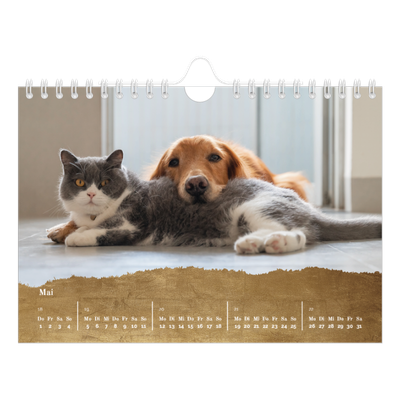 Fotokalender A5 — Classic Gold [deckblatt]