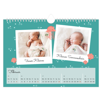 Fotokalender A4 — Süße Tiere [Februar]