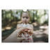 Fotokalender A4 — Zwölf große Monate [deckblatt]