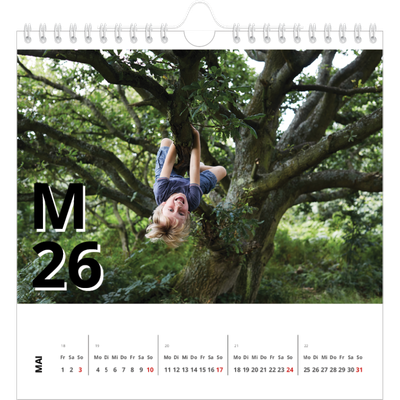 Jahreskalender Quadratisch — Große Zeichen [deckblatt]