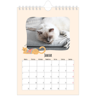 Fotokalender A5 — Katzen und Kritzeleien [Januar]