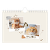 Fotokalender A5 — Verspieltes Kätzchen [deckblatt]