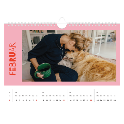 Fotokalender A4 — Farbenfroh wie du [Februar]