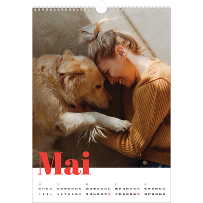 A3 Jahreskalender — Kräftige Farben [deckblatt]