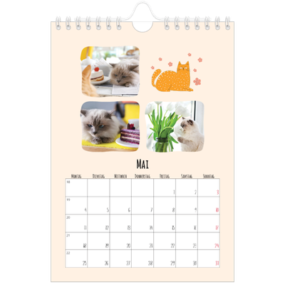 Fotokalender A5 — Katzen und Kritzeleien [deckblatt]