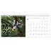 Tischkalender — Große Zeichen [deckblatt]