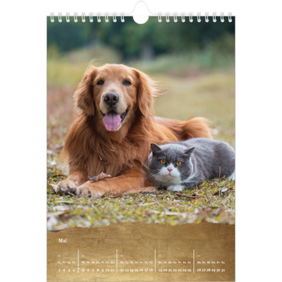Fotokalender A4 (20 x 30 cm) — Classic Gold [deckblatt]
