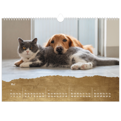 Fotokalender A3 — Classic Gold [deckblatt]