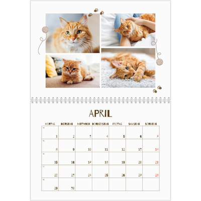 Fotokalender A4 doppelt (30 x 40 cm) — Verspieltes Kätzchen [April]