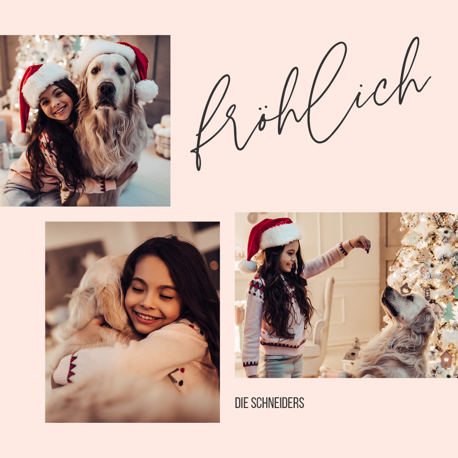 Fotokarten — Fröhliches Rosa