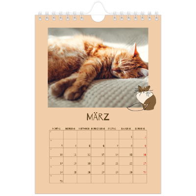 Fotokalender A5 — Verspieltes Kätzchen [Marsch]