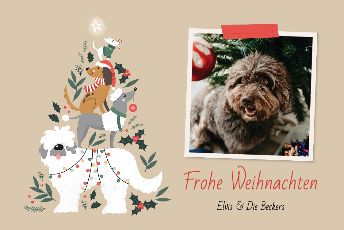 Fotokarten — Weihnachtliche Wau-Waus