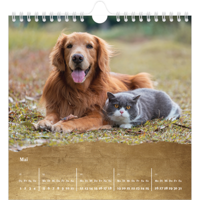 Jahreskalender Quadratisch — Classic Gold [deckblatt]