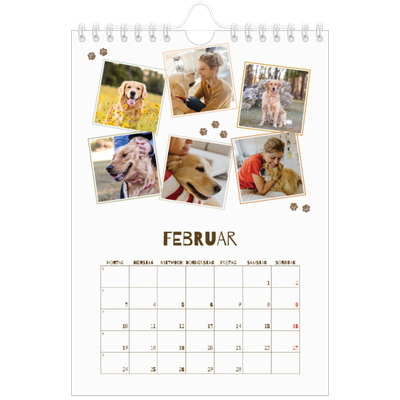 Fotokalender A5 — Verspielter Welpe [Februar]