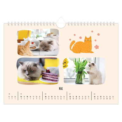Fotokalender A4 — Katzen und Kritzeleien [deckblatt]