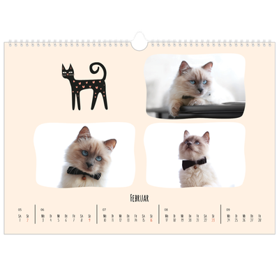 Fotokalender A3 — Katzen und Kritzeleien [Februar]