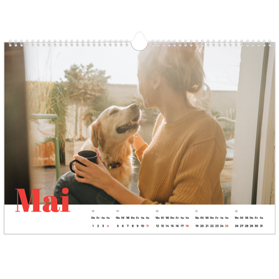 Fotokalender A3 — Kräftige Farben [deckblatt]