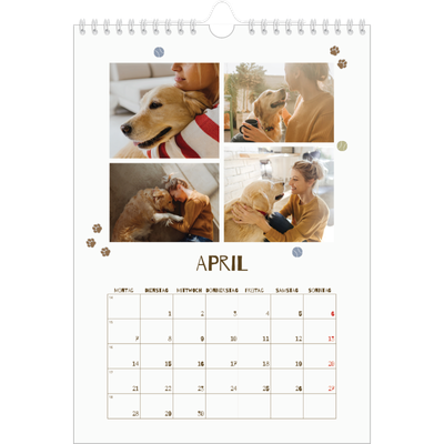Fotokalender A4 (20 x 30 cm) — Verspielter Welpe [April]