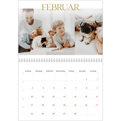 Fotokalender A4 doppelt (30 x 40 cm) — Großer goldener Text [Februar]