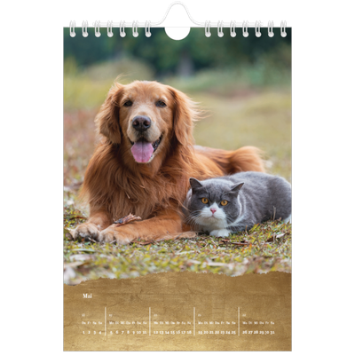 Fotokalender A5 — Classic Gold [deckblatt]