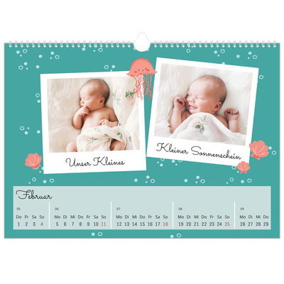 Fotokalender A3 — Süße Tiere [Februar]