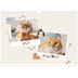 Fotokalender A3 — Verspieltes Kätzchen [deckblatt]