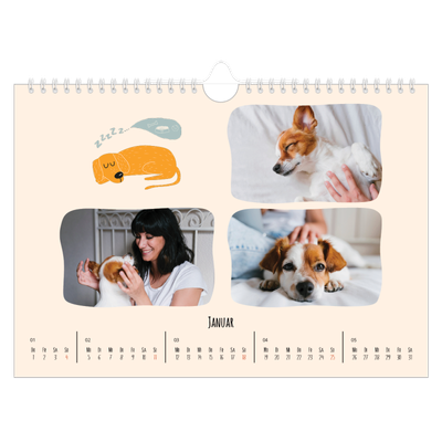 Fotokalender A4 — Hunde und Kritzeleien [Januar]
