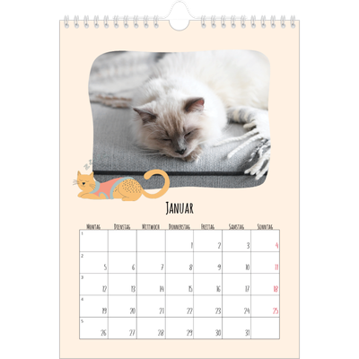Fotokalender A4 (20 x 30 cm) — Katzen und Kritzeleien [Januar]