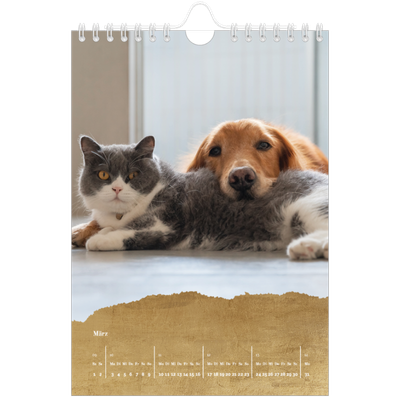 Fotokalender A5 — Classic Gold [Marsch]